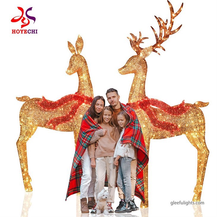 China Manufacturer Outdoor Christmas Lighted Led Reindeer 3d Motif